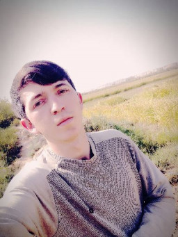 сурати профил