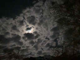 сурати профил